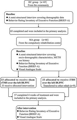 Predictive Role of Executive Function in the Efficacy of Intermittent Theta Burst Transcranial Magnetic Stimulation Modalities for Treating Methamphetamine Use Disorder—A Randomized Clinical Trial